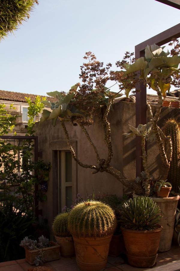 קטאניה Tre Vie Apartment Con Terrazzo Giardino Pensile מראה חיצוני תמונה