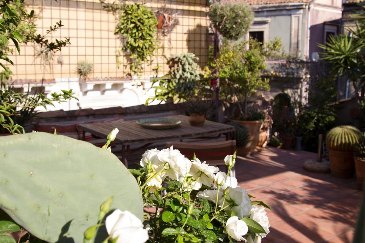 קטאניה Tre Vie Apartment Con Terrazzo Giardino Pensile מראה חיצוני תמונה