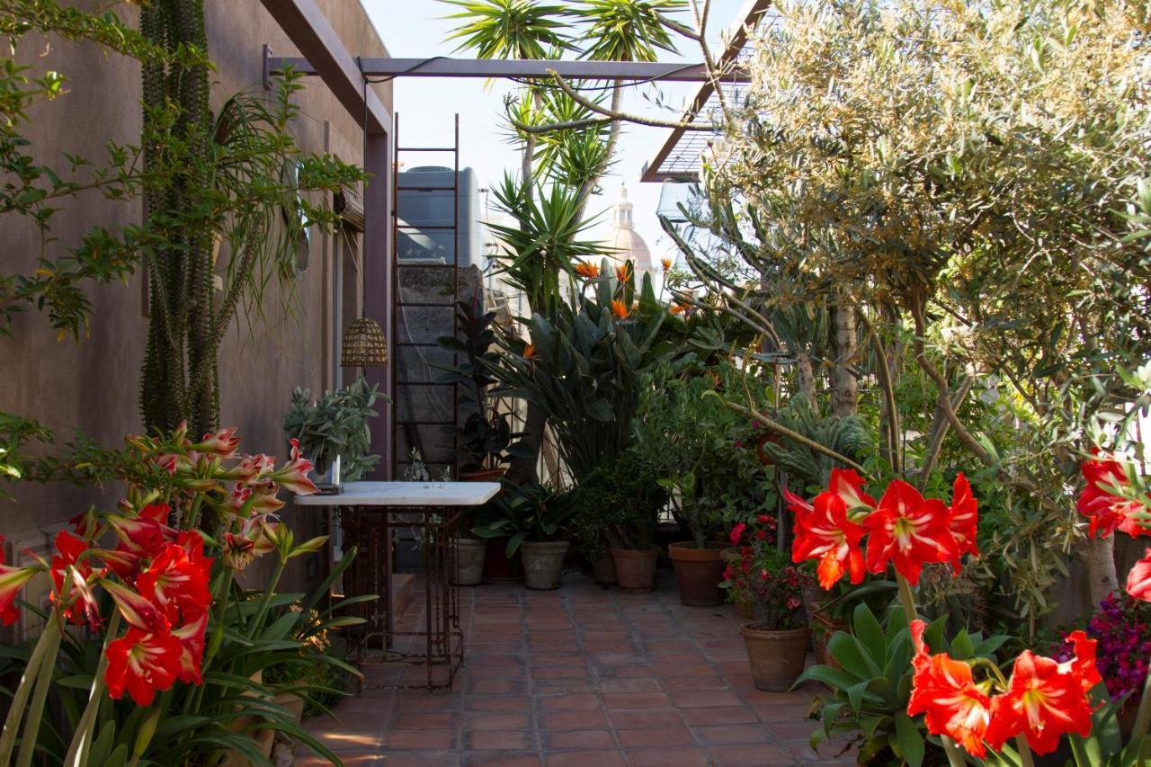קטאניה Tre Vie Apartment Con Terrazzo Giardino Pensile מראה חיצוני תמונה