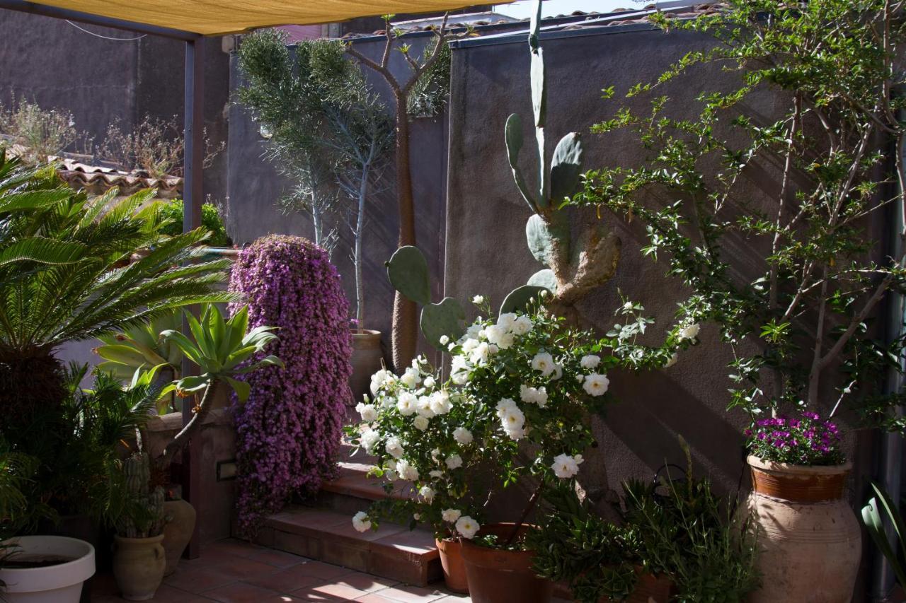 קטאניה Tre Vie Apartment Con Terrazzo Giardino Pensile מראה חיצוני תמונה